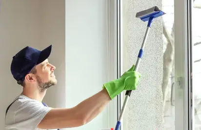 Fensterreinigung